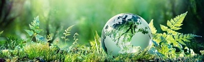 Bærektaft_Grønn planet