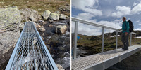 Amplirist i fjellheimen