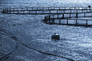 Norwegian Fish farming_1276x850