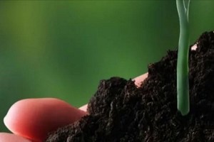 BioBoom_Bioplast